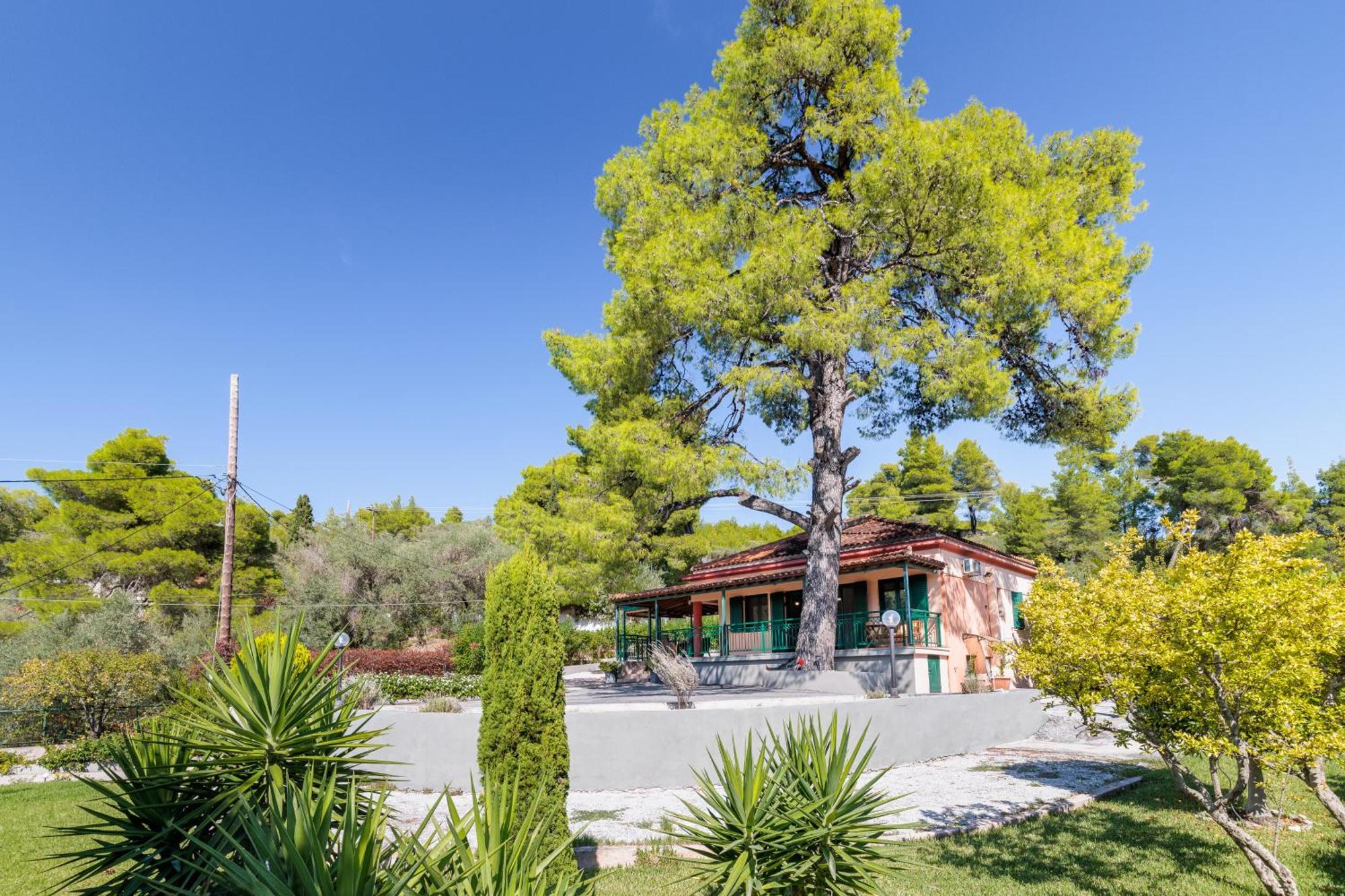Skopelos Country House Diamantis & Chrisi Agnontas Екстер'єр фото